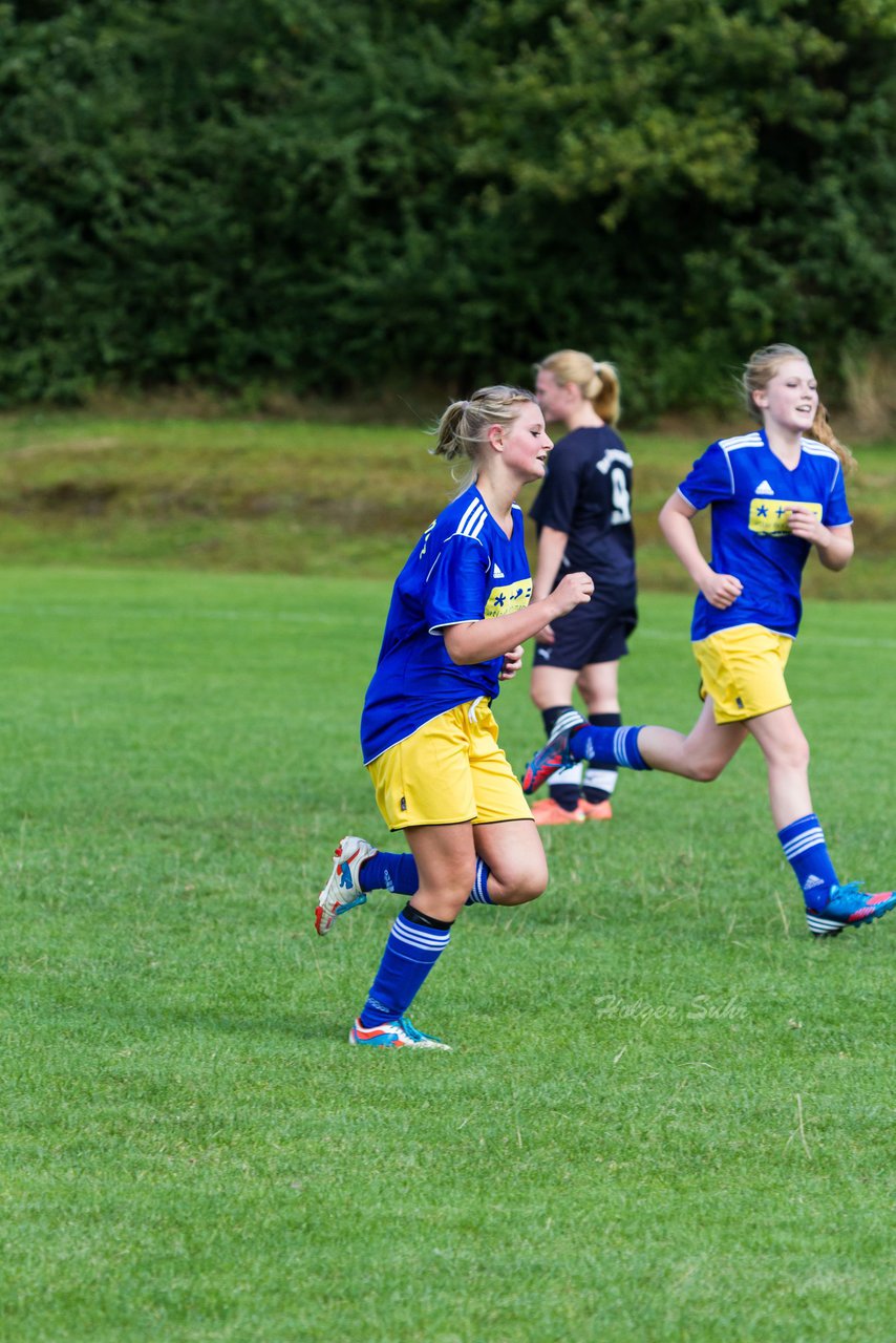 Bild 215 - Frauen TSV Gnutz - SG Slfeld/Oe/Se/Stu : Ergebnis: 2:3